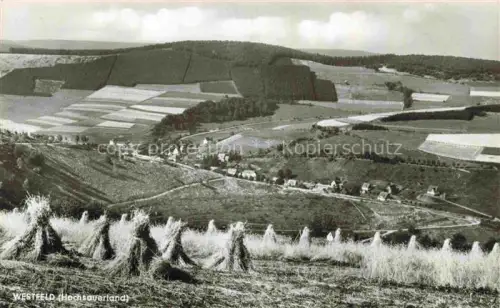 AK / Ansichtskarte Westfeld Schmallenberg Sauerland NRW Panorama Blick ueber die Felder Landschaft