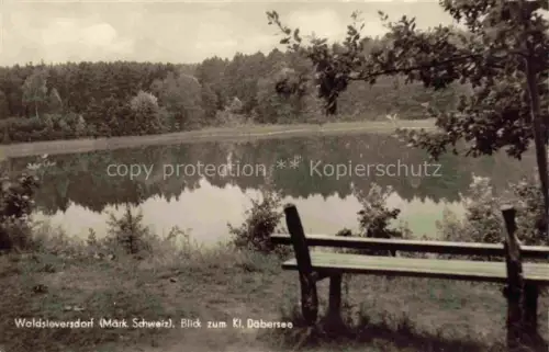 AK / Ansichtskarte Waldsieversdorf Wald-Sieversdorf Brandenburg Blick zum Kleinen Daebersee