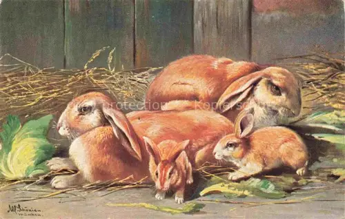 AK / Ansichtskarte Hasen -Rabbits Lapins Conejos-- 