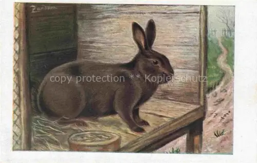 AK / Ansichtskarte Hasen -Rabbits Lapins Conejos-- Rassekaninchenbilder Havanna Kaninchen