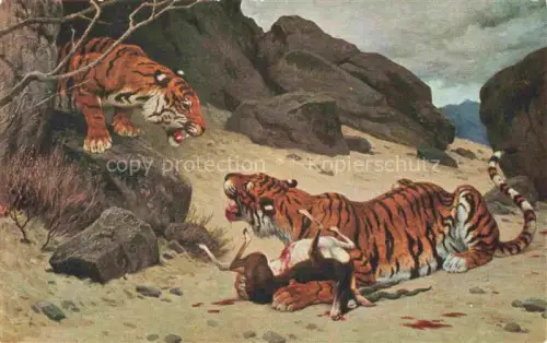 AK / Ansichtskarte Tiger  Tigre-- G.F. Rotig