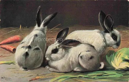 AK / Ansichtskarte Hasen -Rabbits Lapins Conejos-- Weis Schwarz