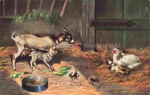 AK / Ansichtskarte Ziege Goat Chevre-- T.S.N. Serie 700 Huehner 