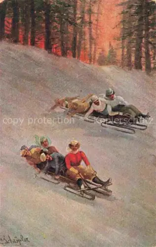 AK / Ansichtskarte Schlitten Bobsleigh Traineaux-- 