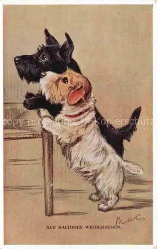 AK / Ansichtskarte Verlag Primus Nr. 2564 Hunde