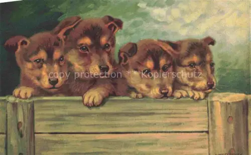 AK / Ansichtskarte HUNDE dogs chiens-- Wenau Delila