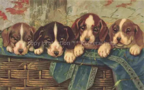 AK / Ansichtskarte HUNDE dogs chiens-- Welpen Wenau Delila