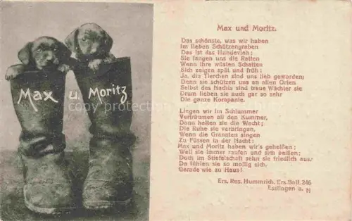 AK / Ansichtskarte HUNDE dogs chiens-- Max und Moritz 