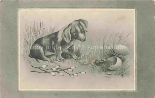 AK / Ansichtskarte Dackel Dachshund Teckel Hunde dogs Chiens Cani Froehliche Ostern 