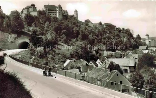 AK / Ansichtskarte Harburg Landau Isar Schloss Harburg