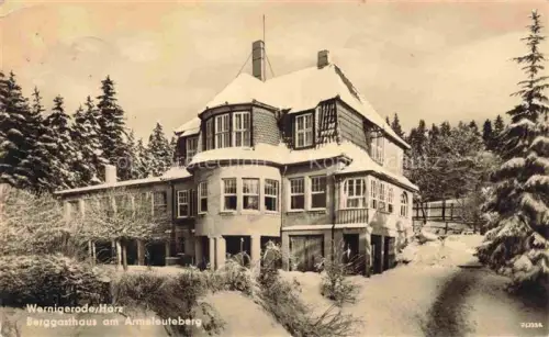AK / Ansichtskarte Wernigerode Harz Berggasthaus am Armeleuteberg