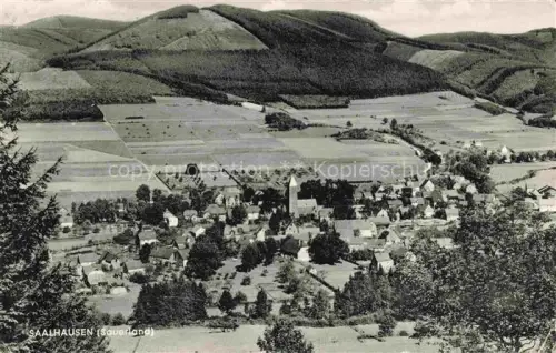 AK / Ansichtskarte Saalhausen Lennestadt Sauerland NRW Panorama