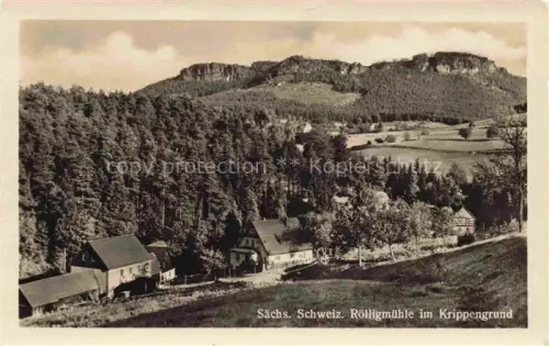 AK / Ansichtskarte Roelligmuehle Krippengrund Krippen Bad Schandau Sachsen Panorama