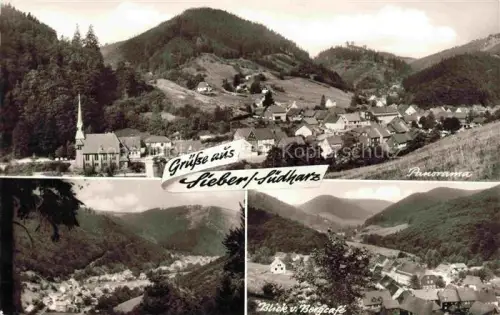 AK / Ansichtskarte Sieber Herzberg am Harz Osterode Niedersachsen Panorama Blick vom Bergcafe