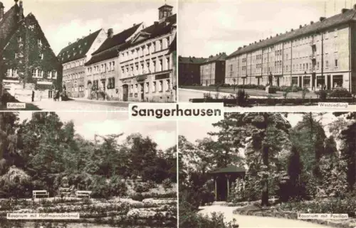 AK / Ansichtskarte Sangerhausen  Suedharz Rathaus Westsiedlung Rosarium mit Hoffmannsdenkmal Rosarium mit Pavillon