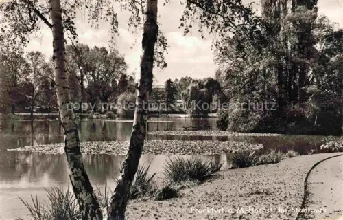 AK / Ansichtskarte Hoechst am Main Hoechst FRANKFURT AM MAIN Hessen Stadtpark