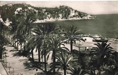 AK / Ansichtskarte LLORET DE MAR Costa Brava ES Playa tropical