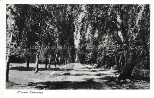 AK / Ansichtskarte Marxen Auetal Harburg Niedersachsen Birkenweg