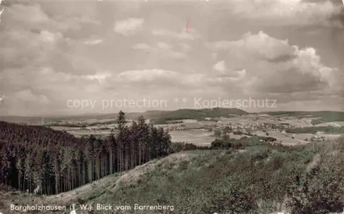 AK / Ansichtskarte Borgholzhausen Panorama Blick vom Barrenberg