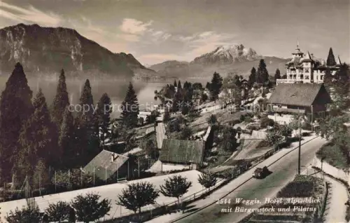 AK / Ansichtskarte Weggis Vierwaldstaettersee LU Hotel Alpenblick mit Buergenstock und Pilatus