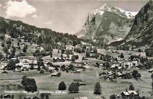 AK / Ansichtskarte Grindelwald BE Panorama Blick gegen Wetterhorn Berner Alpen