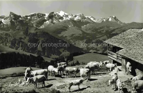 AK / Ansichtskarte Frutigen BE Klein-Hahnenmoosbergli mit Wildhorngruppe