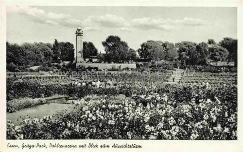AK / Ansichtskarte EssEN  Ruhr Gruga Park Dahlienarena mit Blick zum Aussichtsturm