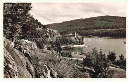 AK / Ansichtskarte Seebrugg Schluchseepartie