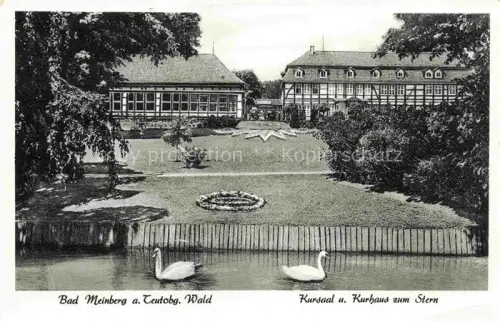 AK / Ansichtskarte Bad Meinberg Horn-Bad Meinberg NRW Kursaal und Kurhaus zum Stern