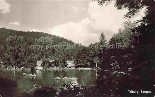AK / Ansichtskarte Triberg Schwarzwald BW Seepartie Bergsee
