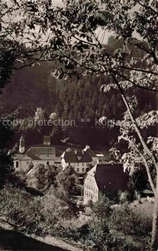 AK / Ansichtskarte Gremmelsbach Triberg Schwarzwald BW Teilansicht