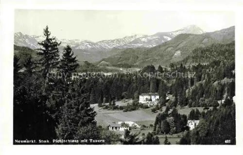 AK / Ansichtskarte Neumarkt Steiermark AT Pichlschloss mit Tauern