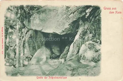 AK / Ansichtskarte BAD HARZBURG Niedersachsen Grotte der Feigenbaumklippe