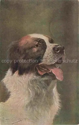 AK / Ansichtskarte HUNDE dogs chiens-- Bernhardiner