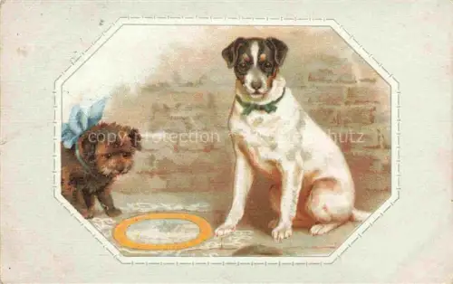 AK / Ansichtskarte HUNDE dogs chiens-- 