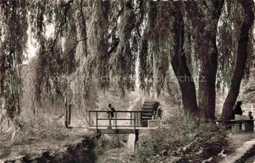 AK / Ansichtskarte Ahrweiler BAD NEUENAHR-AHRWEILER Trauerweiden mit Muehlrad