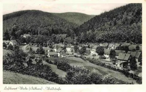 AK / Ansichtskarte Wieda Panorama Waldstrasse
