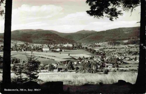 AK / Ansichtskarte Bodenmais Panorama