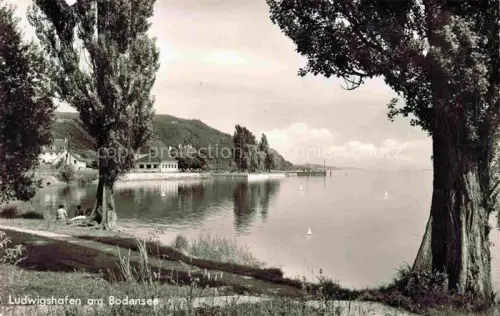 AK / Ansichtskarte Ludwigshafen Bodman-Ludwigshafen Bodensee Seepanorama