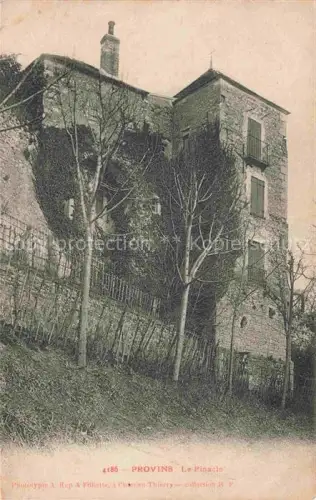 AK / Ansichtskarte PROVINS 77 Seine-et-Marne Le Pinacle