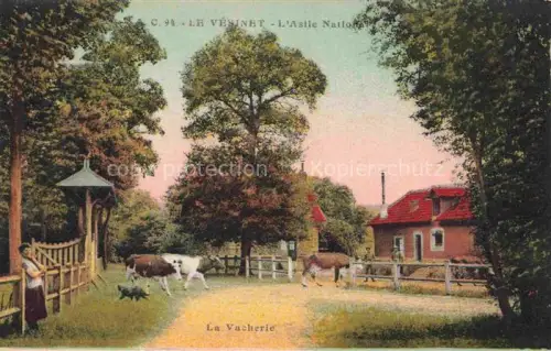 AK / Ansichtskarte Le Vesinet Saint-Germain-en-Laye 78 Yvelines Asile National