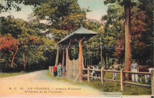 AK / Ansichtskarte Le Vesinet Saint-Germain-en-Laye 78 Yvelines Asile National L'Entree de la Vacherie