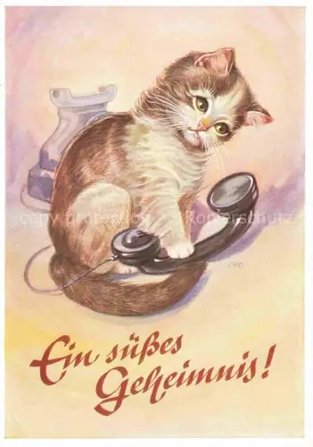 AK / Ansichtskarte KATZEN Cats Chats Gatos Gatti-- Telefon Augus Lengauer