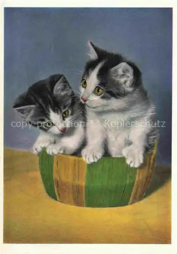 AK / Ansichtskarte KATZEN Cats Chats Gatos Gatti-- Babys