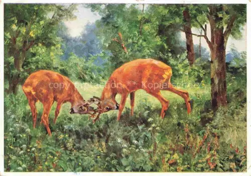 AK / Ansichtskarte DICHTL E. Kuenstlerkarte Rehe wald