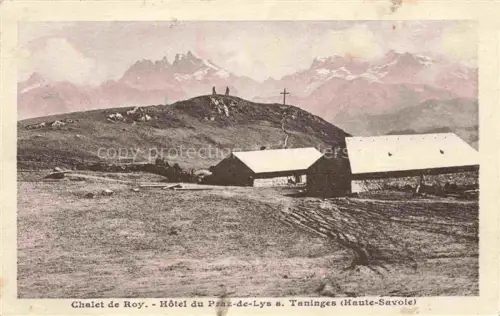 AK / Ansichtskarte Taninges Bonneville 74 Haute-Savoie Chalet de Roy Hotel du Praz de Lys