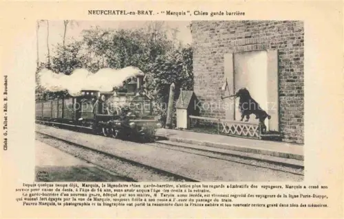 AK / Ansichtskarte Neufchatel-en-Bray DIEPPE 76 Seine-Maritime Marquis Chien garde barriere