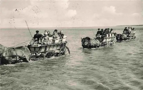 AK / Ansichtskarte Duhnen Cuxhaven Nordseebad Niedersachsen Die Wattwagen auf der Fahrt nach der Insel Neuwerk