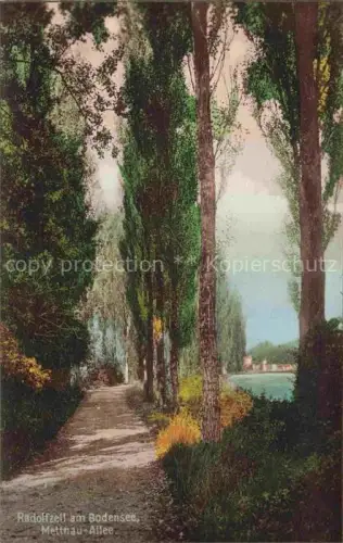 AK / Ansichtskarte Radolfzell Bodensee Mettnau Allee