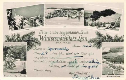 AK / Ansichtskarte Lam Oberpfalz Osser Lam Arbergipfel Enzianwiese Arberschutzhaus